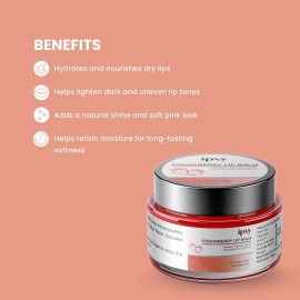 Ipsy Strawberry Lip Balm