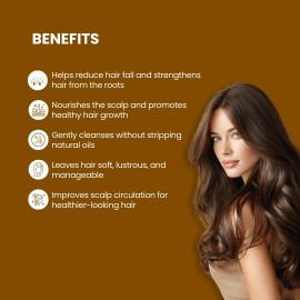 Ipsy Arnica Shampoo 500ml