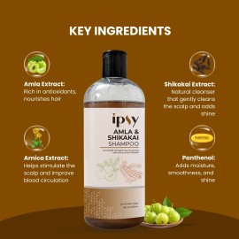 Ipsy Arnica Shampoo 500ml